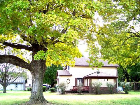 883 E 600 North Rd, Bement, IL 61813 photo 2