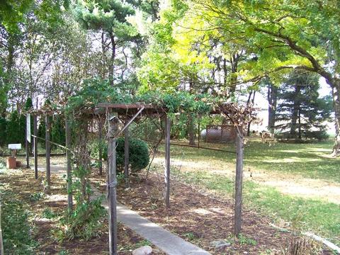 883 E 600 North Rd, Bement, IL 61813 photo 21