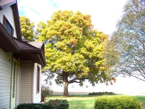 883 E 600 North Rd, Bement, IL 61813 photo 22