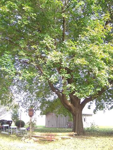 883 E 600 North Rd, Bement, IL 61813 photo 31