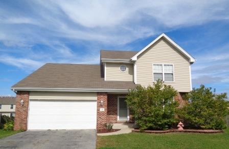 4538 W Iris Ln, Monee, IL 60449 photo 1