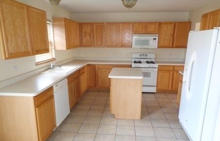 4538 W Iris Ln, Monee, IL 60449 photo 4