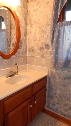 29410 S Stateline Rd, Beecher, IL 60401 photo 22