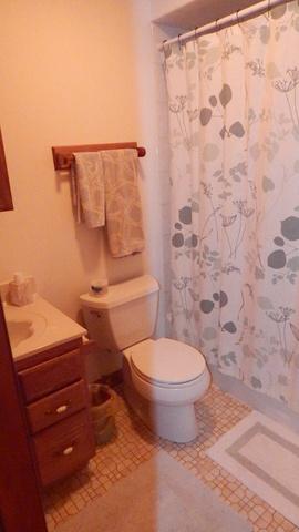 29410 S Stateline Rd, Beecher, IL 60401 photo 20