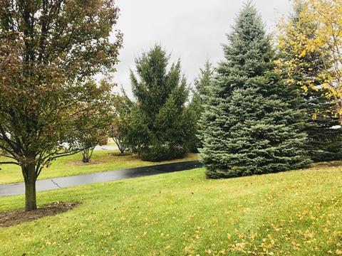 1580 Matthew Dr, Algonquin, IL 60102 photo 4