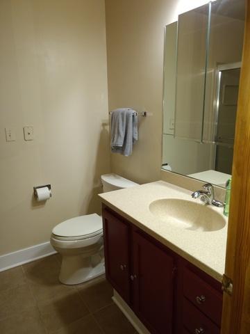 1918 Golf View Dr, Bartlett, IL 60103 photo 24