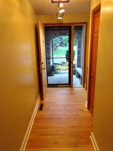 1918 Golf View Dr, Bartlett, IL 60103 photo 2