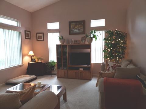 2009 Fieldstone Ct, Plainfield, IL 60586 photo 8