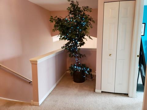 2009 Fieldstone Ct, Plainfield, IL 60586 photo 12