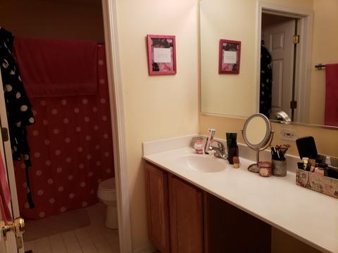 2009 Fieldstone Ct, Plainfield, IL 60586 photo 19