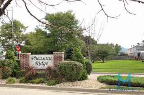2009 Fieldstone Ct, Plainfield, IL 60586 photo 23