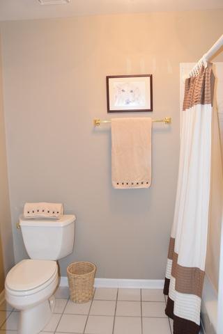 1259 Prestwick Ln, Itasca, IL 60143 photo 25
