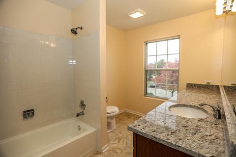 512 Orchards Pass, Bartlett, IL 60103 photo 8