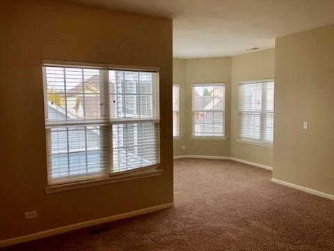 203 Dawn Ct, Elgin, IL 60124 photo 34