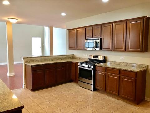 203 Dawn Ct, Elgin, IL 60124 photo 28