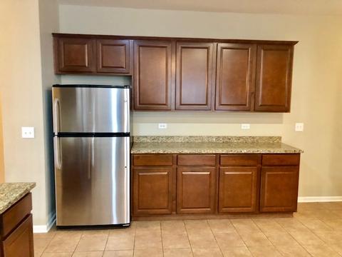203 Dawn Ct, Elgin, IL 60124 photo 30