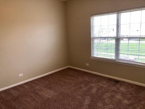 203 Dawn Ct, Elgin, IL 60124 photo 40
