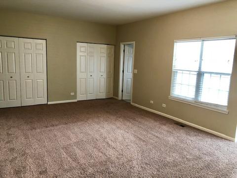 203 Dawn Ct, Elgin, IL 60124 photo 33