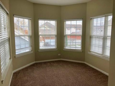 203 Dawn Ct, Elgin, IL 60124 photo 35