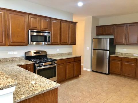 203 Dawn Ct, Elgin, IL 60124 photo 27