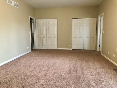 203 Dawn Ct, Elgin, IL 60124 photo 36