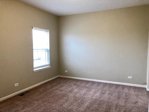 203 Dawn Ct, Elgin, IL 60124 photo 43