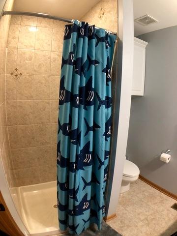 156 E Third St, Manteno, IL 60950 photo 19