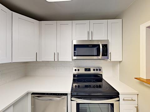 910 Beau Dr #309, Des Plaines, IL 60016 photo 3