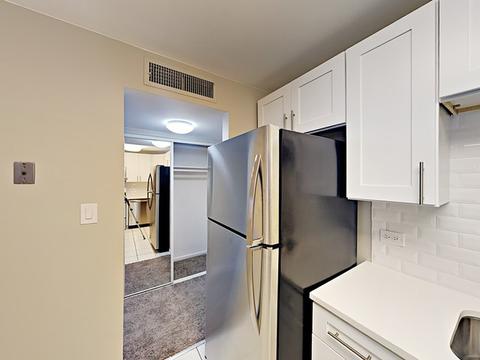 910 Beau Dr #309, Des Plaines, IL 60016 photo 6
