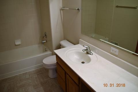 13913 Briar Ln, Plainfield, IL 60544 photo 18