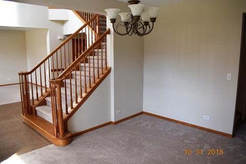 13913 Briar Ln, Plainfield, IL 60544 photo 14