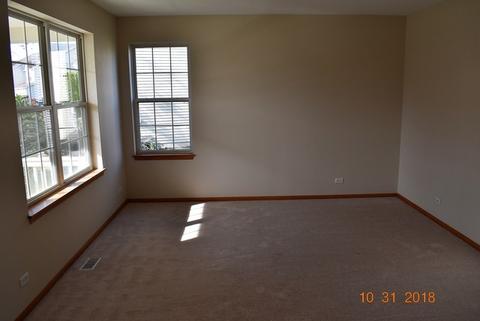 13913 Briar Ln, Plainfield, IL 60544 photo 4