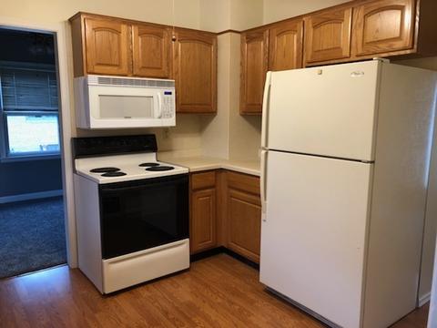 301 E 2nd St, Chadwick, IL 61014 photo 4