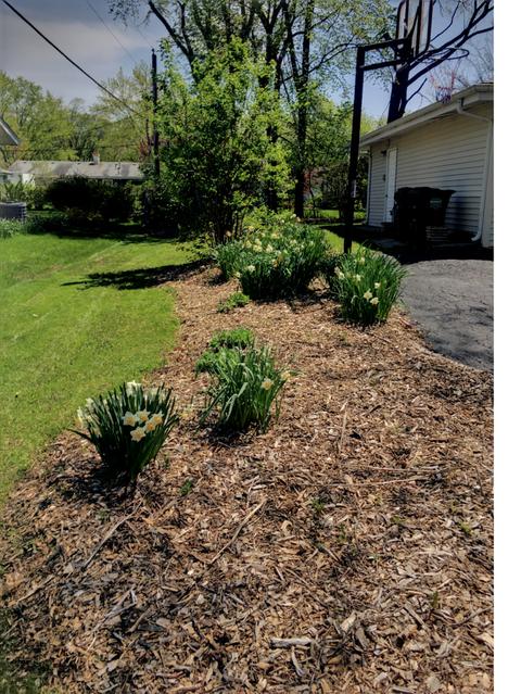635 Olive St, Hoffman Estates, IL 60169 photo 22