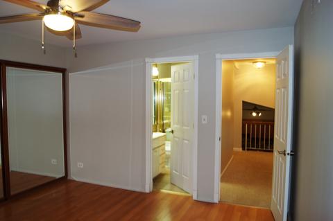 623 Bryce Trl, Roselle, IL 60172 photo 13