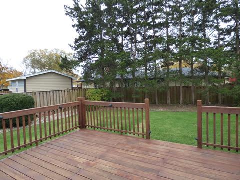 1709 E Seminole Ln, Mount Prospect, IL 60056 photo 13