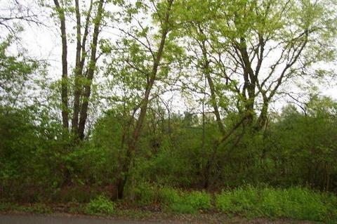 6496 Johnsburg Rd, Spring Grove, IL 60081 photo 1
