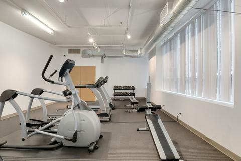 212 E Cullerton St #1011, Chicago, IL 60616 photo 28