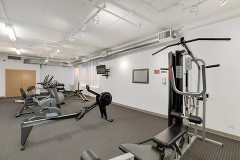 212 E Cullerton St #1011, Chicago, IL 60616 photo 27