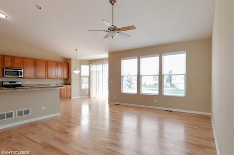 11417 Glenbrook Cir, Plainfield, IL 60544 photo 5