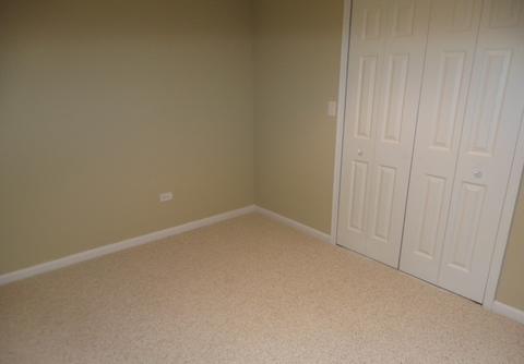 11417 Glenbrook Cir, Plainfield, IL 60544 photo 28