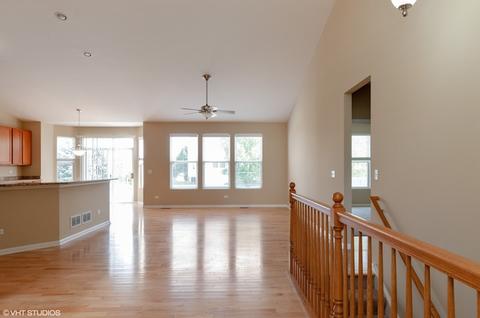 11417 Glenbrook Cir, Plainfield, IL 60544 photo 3