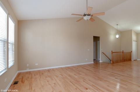 11417 Glenbrook Cir, Plainfield, IL 60544 photo 6