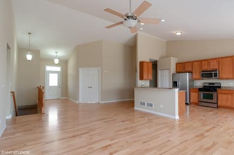 11417 Glenbrook Cir, Plainfield, IL 60544 photo 7