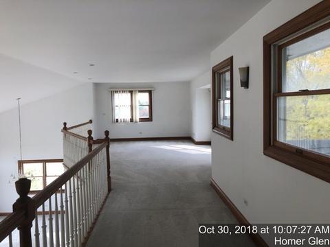 17751 Haas Rd, Mokena, IL 60448 photo 16