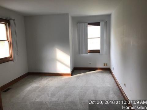 17751 Haas Rd, Mokena, IL 60448 photo 15