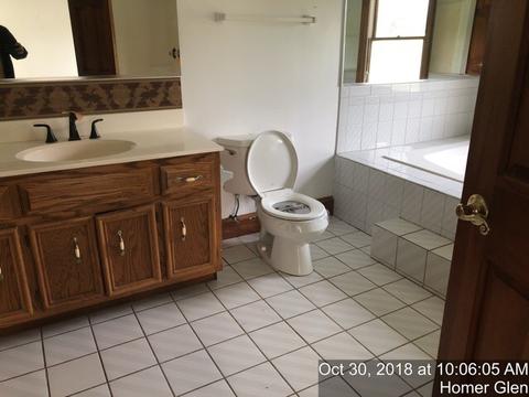 17751 Haas Rd, Mokena, IL 60448 photo 10