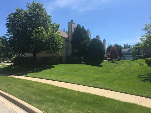 977 Old Oak Cir, Algonquin, IL 60102 photo 30