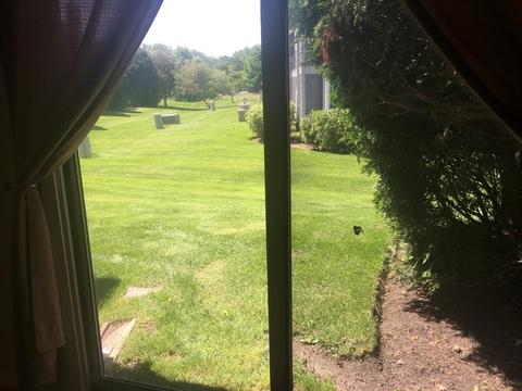 977 Old Oak Cir, Algonquin, IL 60102 photo 7