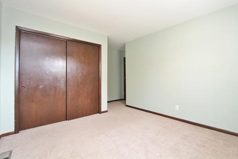 303 Andrew Ave, Dwight, IL 60420 photo 20